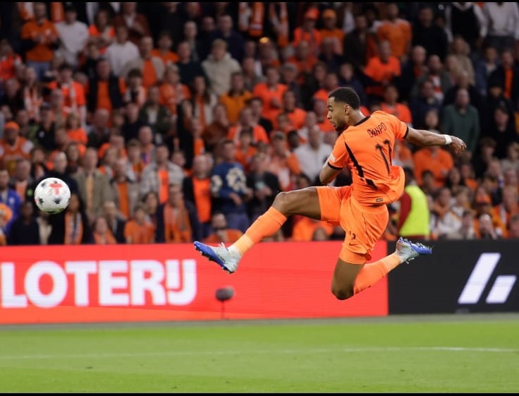 Gakpo goal Netherlands